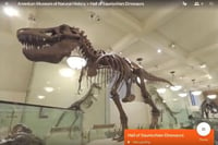 VR-Expeditions-American-Museums